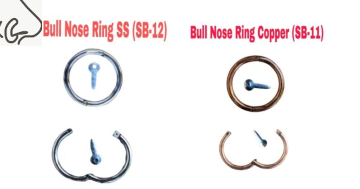 What Does a Bull Nose Ring Mean Sexually?