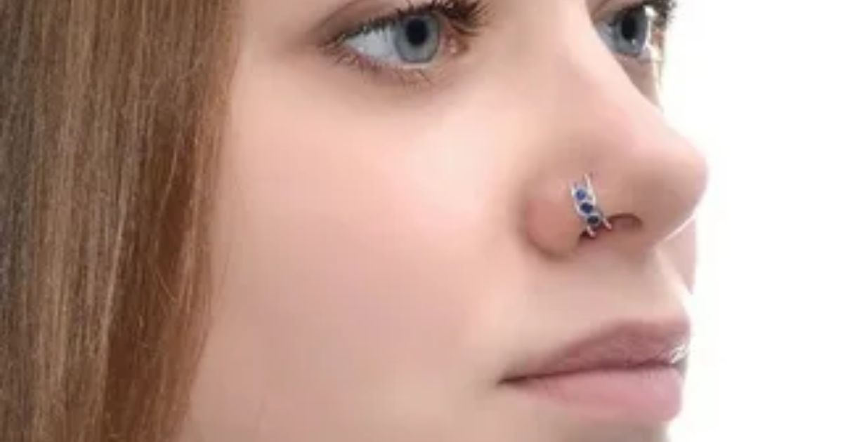 Can You Put An Earring In Your Nose?Can You Put An Earring In Your Nose?