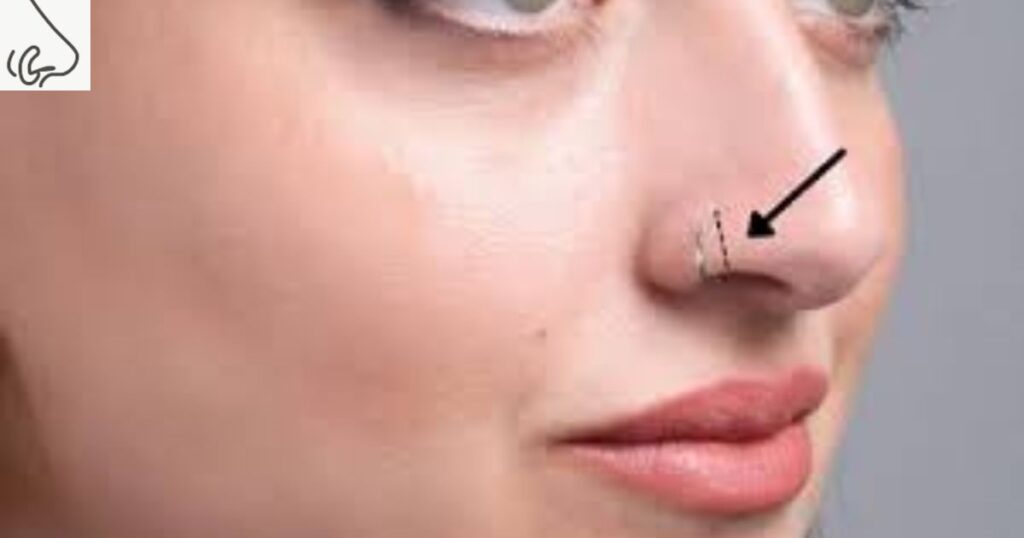 Selecting the Right Nose Ring